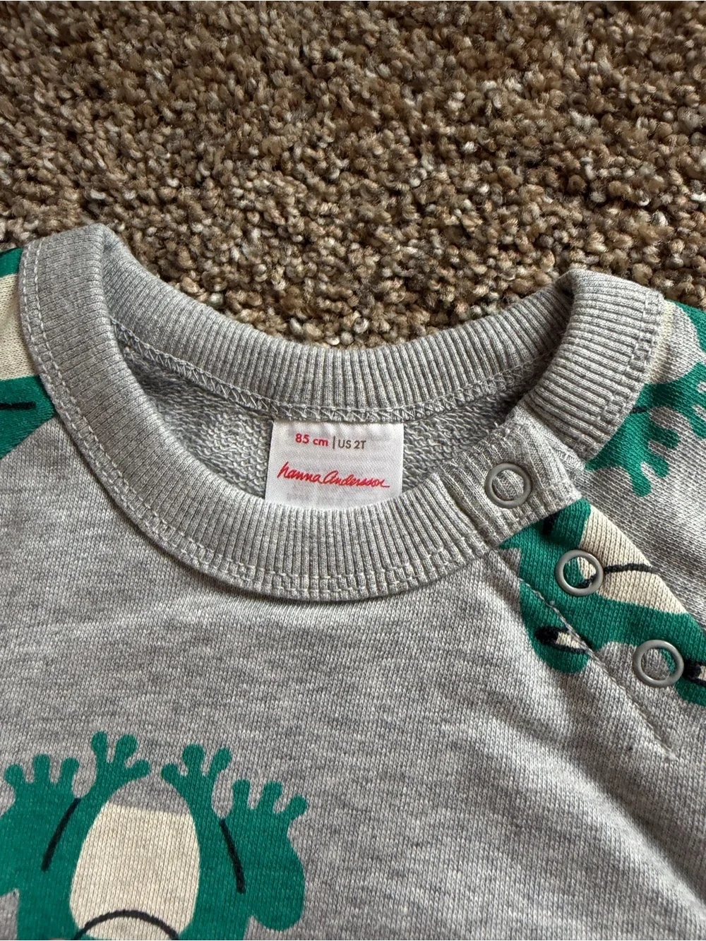 HANNA ANDERSSON Baby French Terry Sweatshirt & Sweatpants in Happy Frogs on Grey